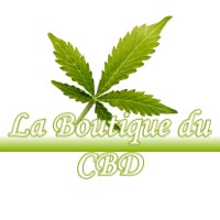 LA BOUTIQUE DU CBD LURCY-LE-BOURG 